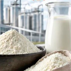 Whey Protein (Concentrate milk)