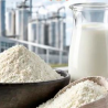 Whey Protein (Concentrate milk)