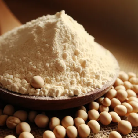 Soy Protein Concentrate (food)