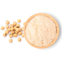 Soy Protein Concentrate (food)