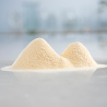 Milk Powder PROTELAC® 400